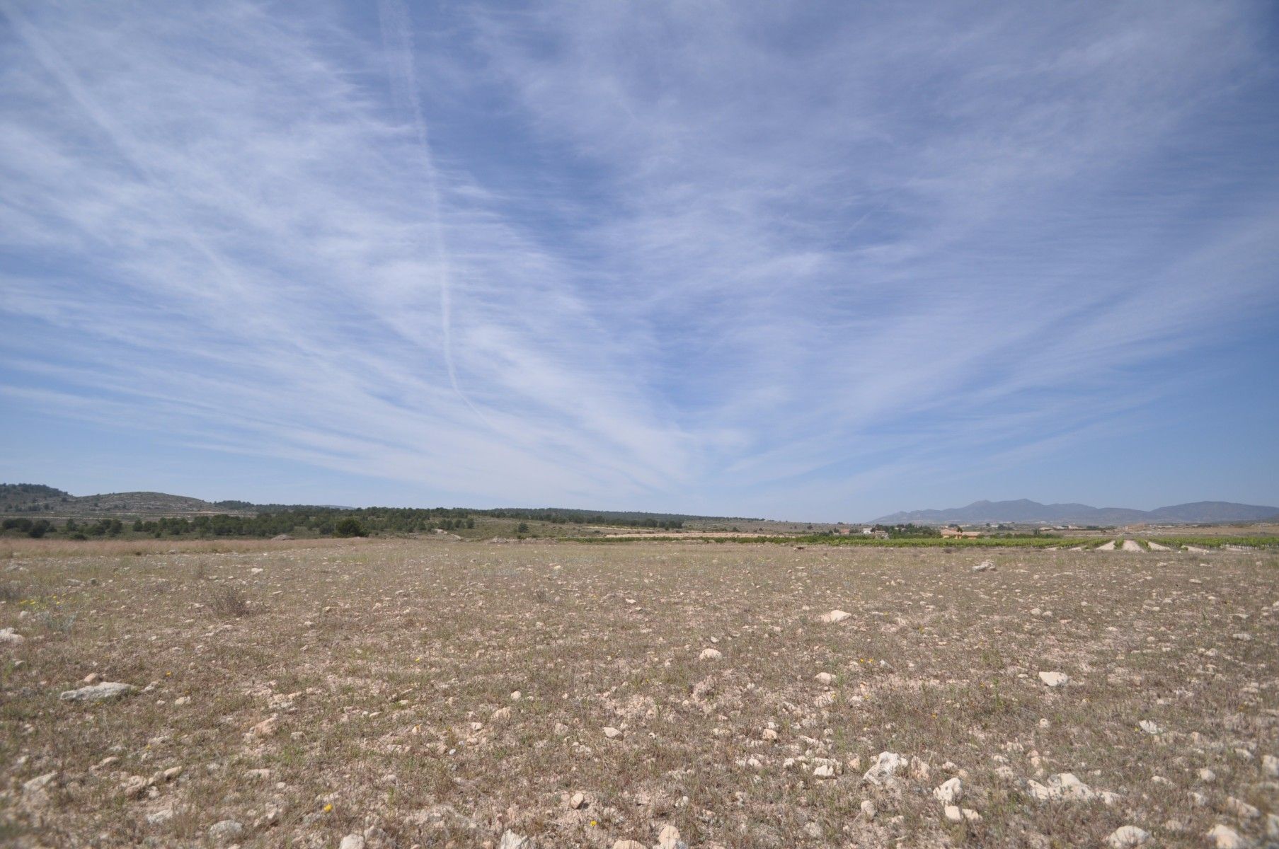 Terreno en PINOSO, Alicante en venta Vista aérea- Imagen 1 de 19