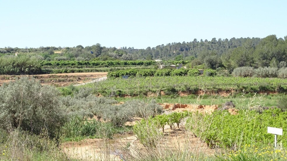 Polígono Enchilagar del Rullo, 16, Vilamarxant, Valencia en venta - Foto del edificio - Imagen 3 de 27