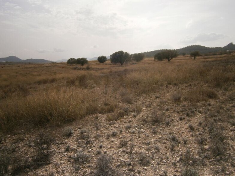 Terreno en Salinas, Alicante en venta - Vista aérea - Imagen 1 de 6