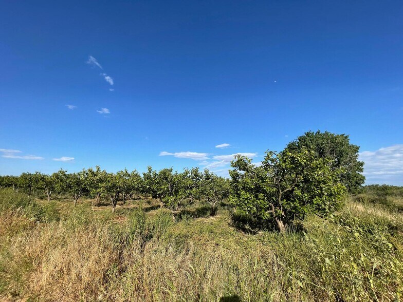 Terreno en València, Valencia en venta - Foto del edificio - Imagen 2 de 4