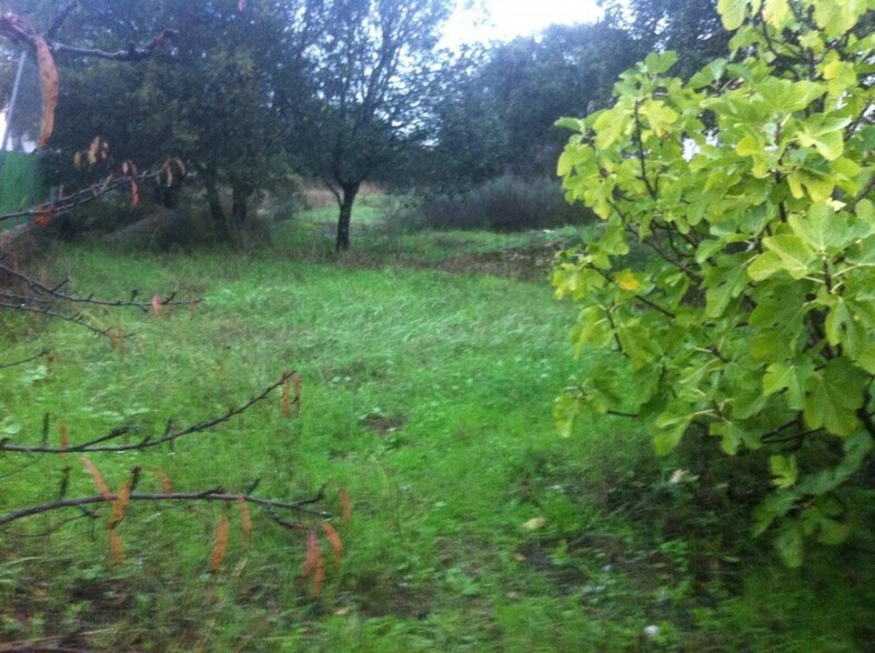 Terreno en Malpartida de Cáceres, Cáceres en venta - Foto del edificio - Imagen 3 de 3