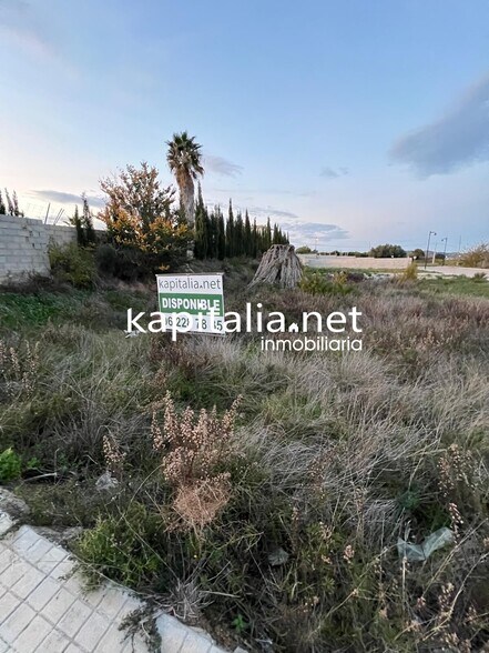 Terreno en Llanera de Ranes, Valencia en venta - Foto principal - Imagen 3 de 4