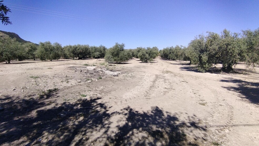 Terreno en Calasparra, Murcia en venta - Foto del edificio - Imagen 2 de 27