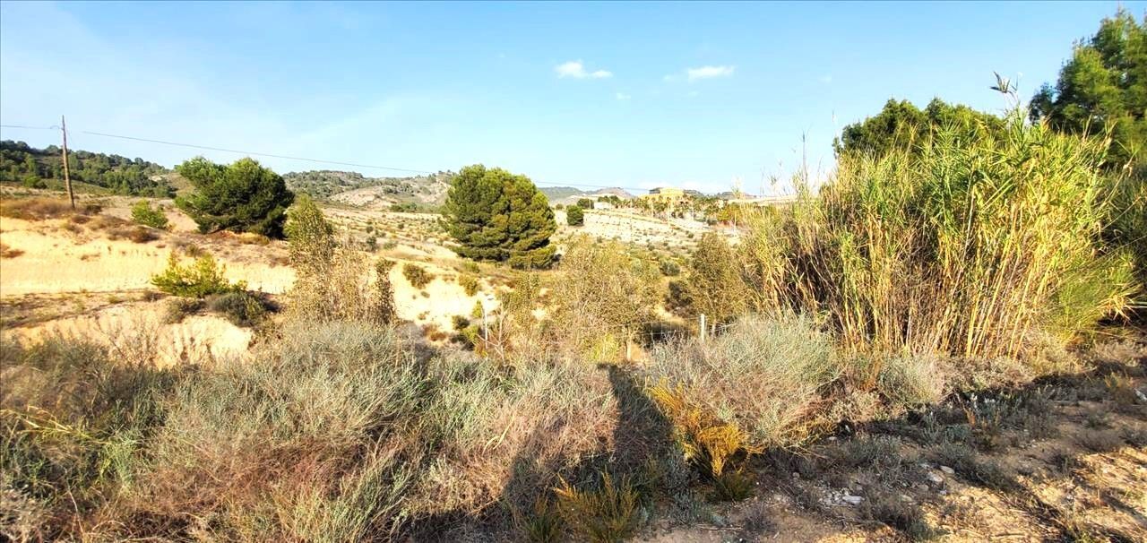 Monteral, 210, Mula, Murcia en venta Vista aérea- Imagen 1 de 6