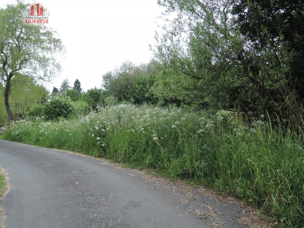 Terreno en Amoeiro, Orense en venta Plano del sitio- Imagen 1 de 7