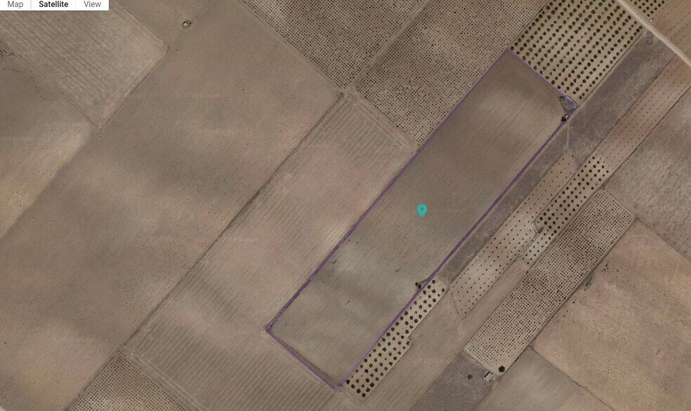 Sin Calle, Yecla, Murcia en venta - Plano de la planta - Imagen 1 de 2