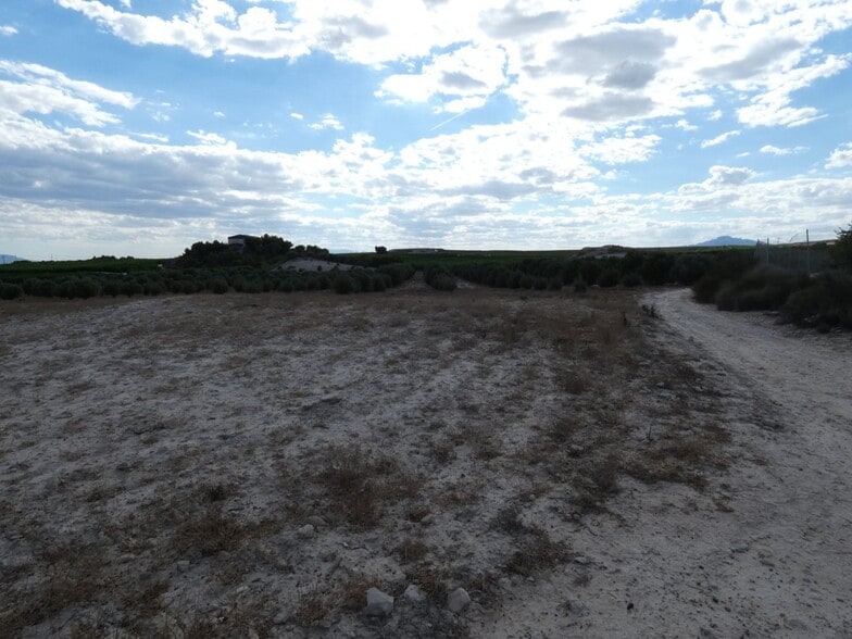Terreno en Molina de Segura en venta - Plano del sitio - Imagen 3 de 12