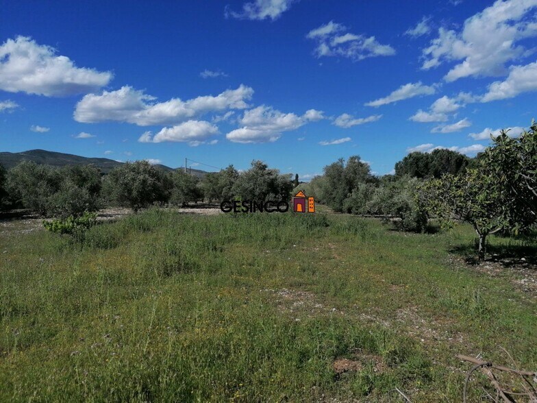 Terreno en València, Valencia en venta - Foto del edificio - Imagen 1 de 5