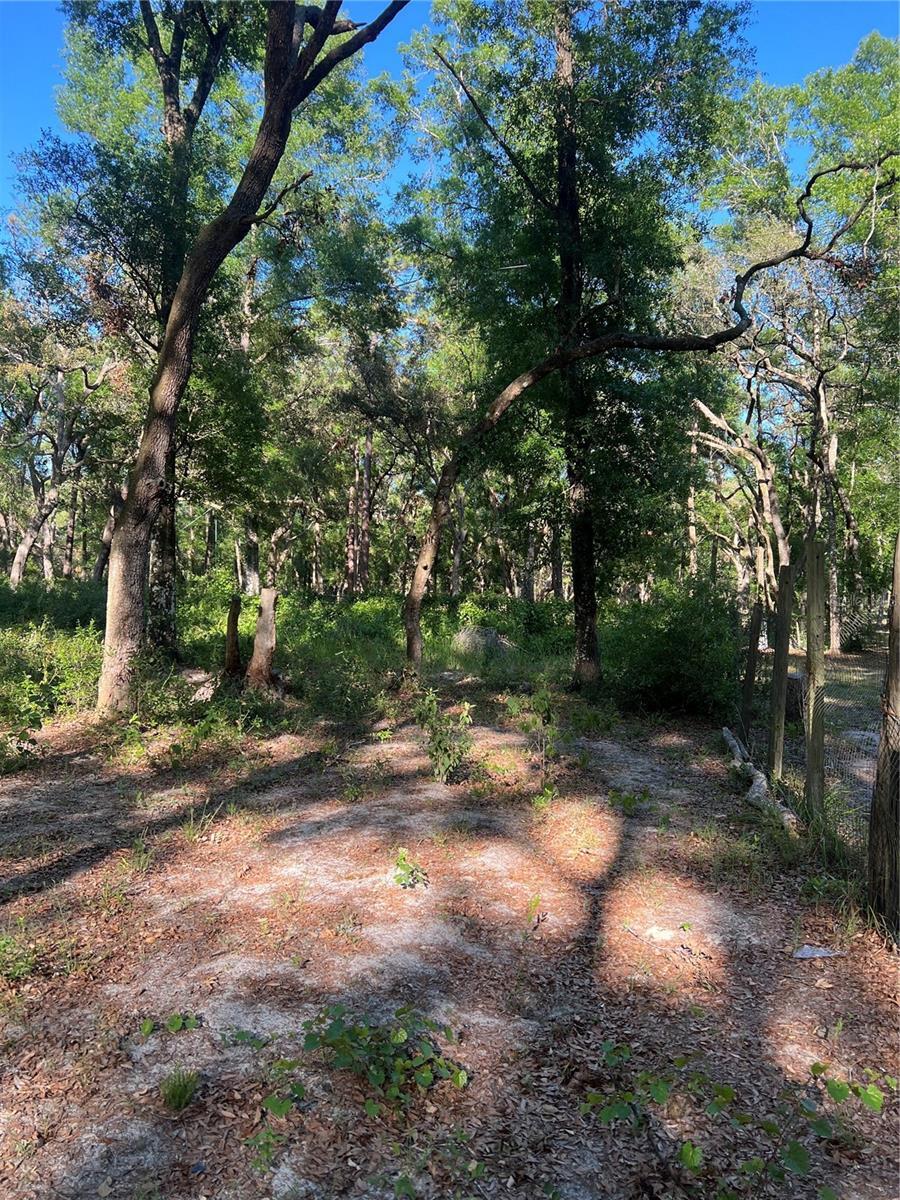 SW 118th Ln, Webster, FL en venta Otros- Imagen 1 de 1