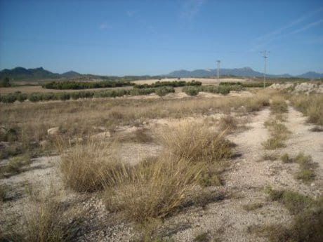 Nave en Calasparra en venta - Plano del sitio - Imagen 3 de 7