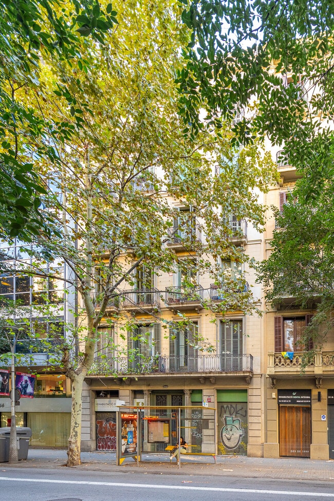 Más detalles de Local en alquiler