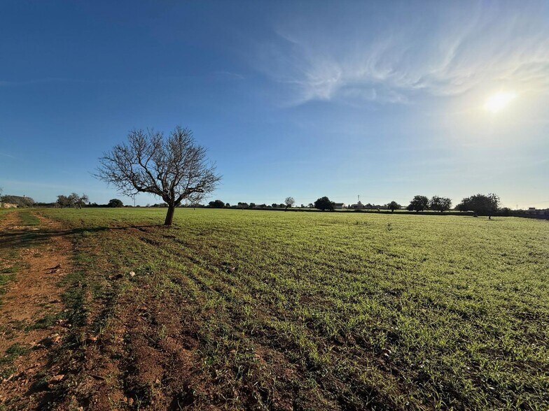 Terreno en Felanitx, Islas Baleares en venta - Foto principal - Imagen 2 de 5