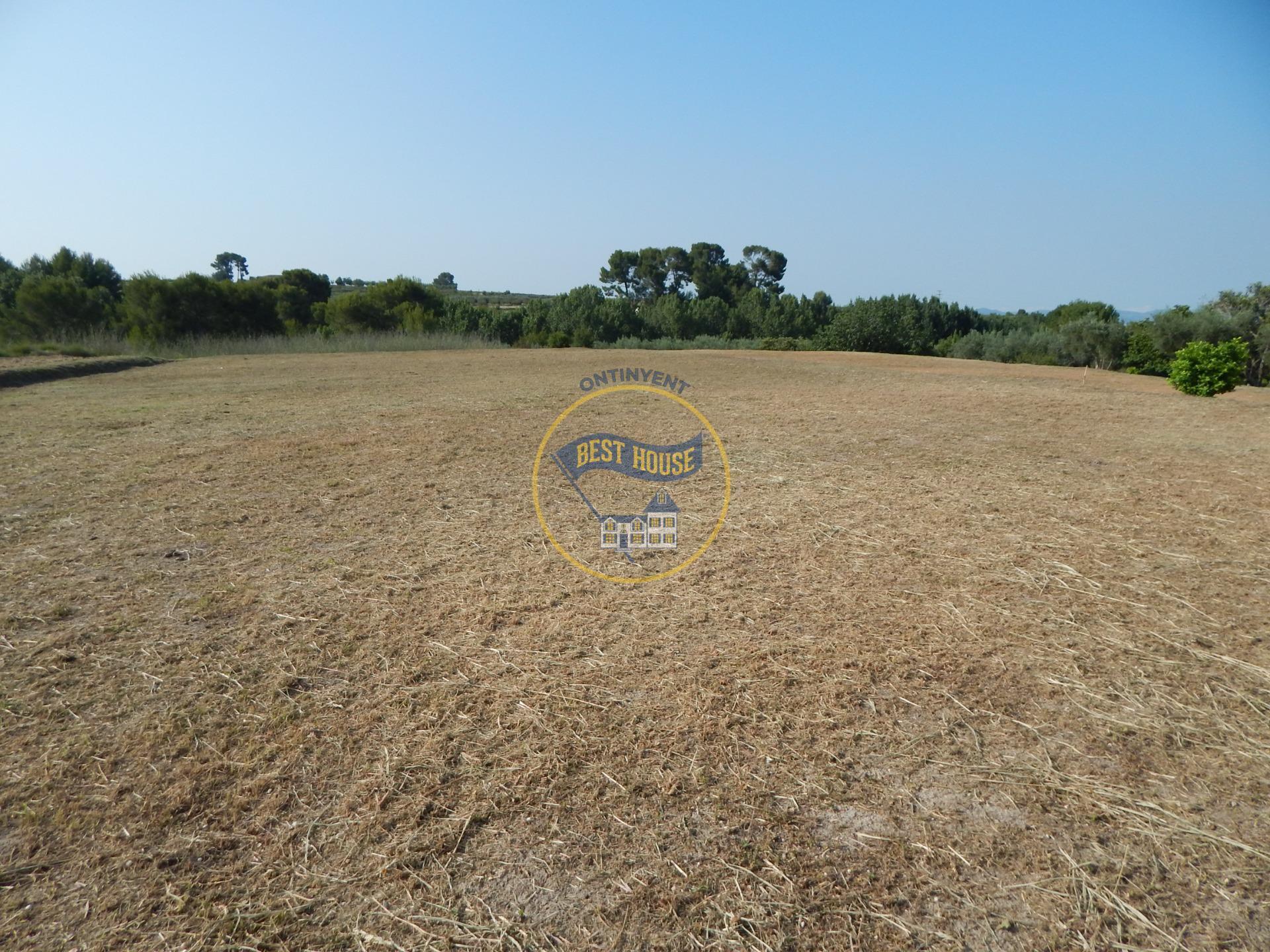 Terreno en Agullent en venta Plano del sitio- Imagen 1 de 8