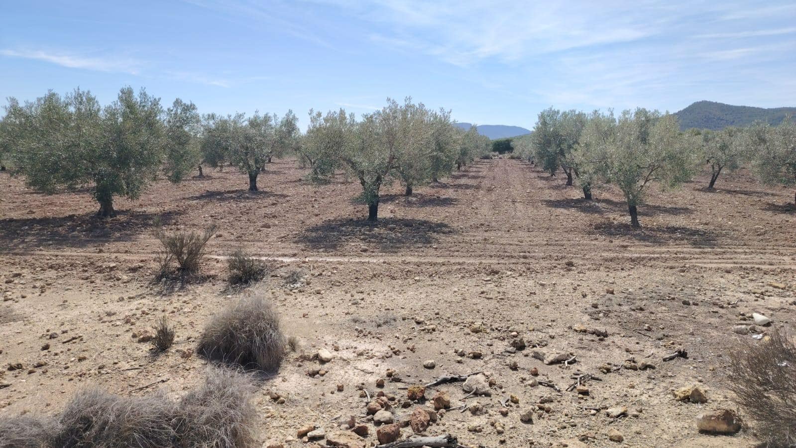 Terreno en MONÒVER, Alicante en venta Foto del edificio- Imagen 1 de 2