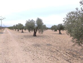 San José, Yecla, Ayuntamiento, MURCIA - AÉREA  vista de mapa
