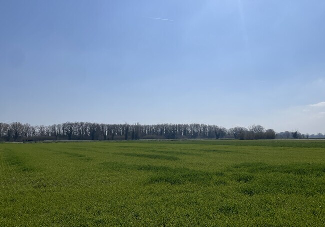 Más detalles de Polígono, 151, Castelló d'Empúries - Terreno en venta