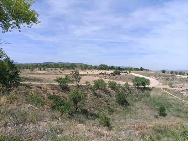 Calle Sierra de Armantes, 24, Calatayud, Zaragoza en venta - Otros - Imagen 3 de 4