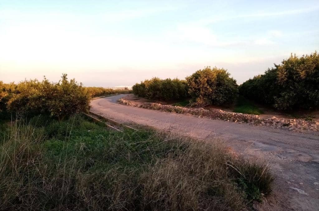 Terreno en La Vall d'Uixó, Castellón en venta Plano del sitio- Imagen 1 de 4