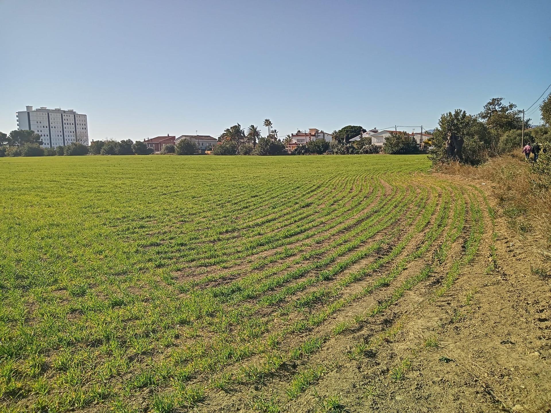 Carrer Poligono 21, 37, Cambrils, Tarragona en venta Foto principal- Imagen 1 de 6