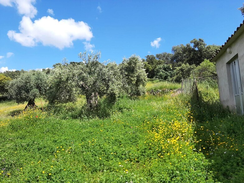 Terreno en Santa Ana en venta - Foto del edificio - Imagen 3 de 23