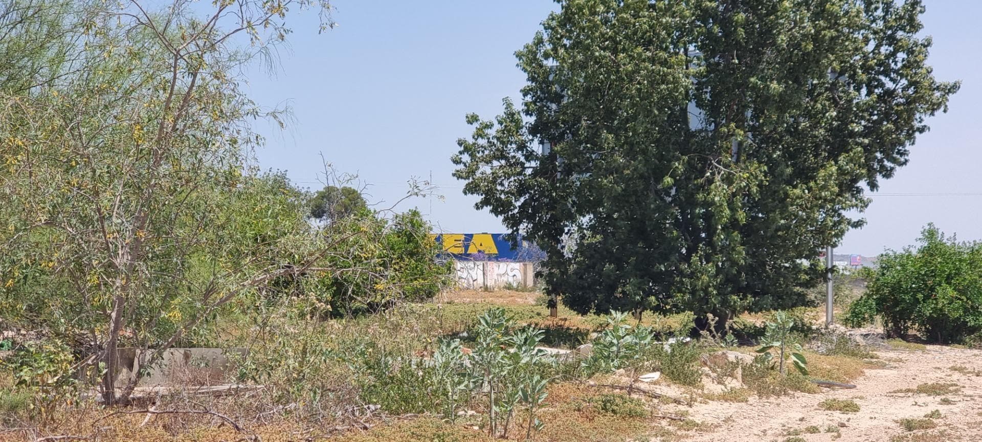 Terreno en Murcia, Murcia en venta Foto del edificio- Imagen 1 de 10