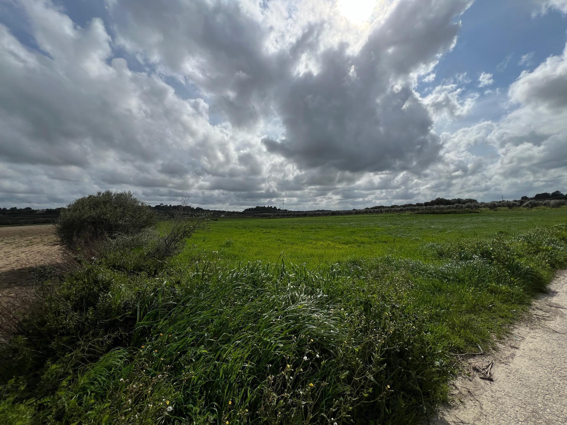 Carretera de Muro, 8, Sa Pobla, Islas Baleares en venta Plano del sitio- Imagen 1 de 4