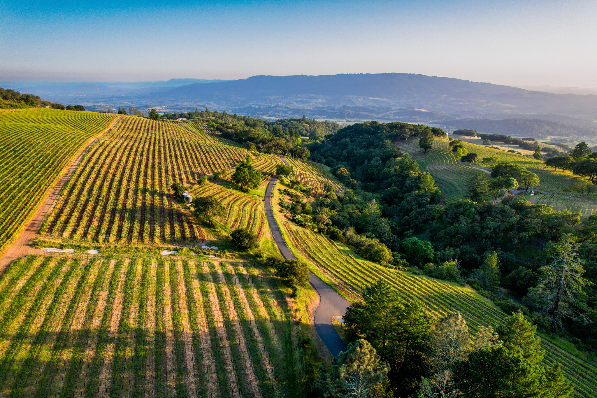 O Howell Mountain, Angwin, CA en venta Vista aérea- Imagen 1 de 2