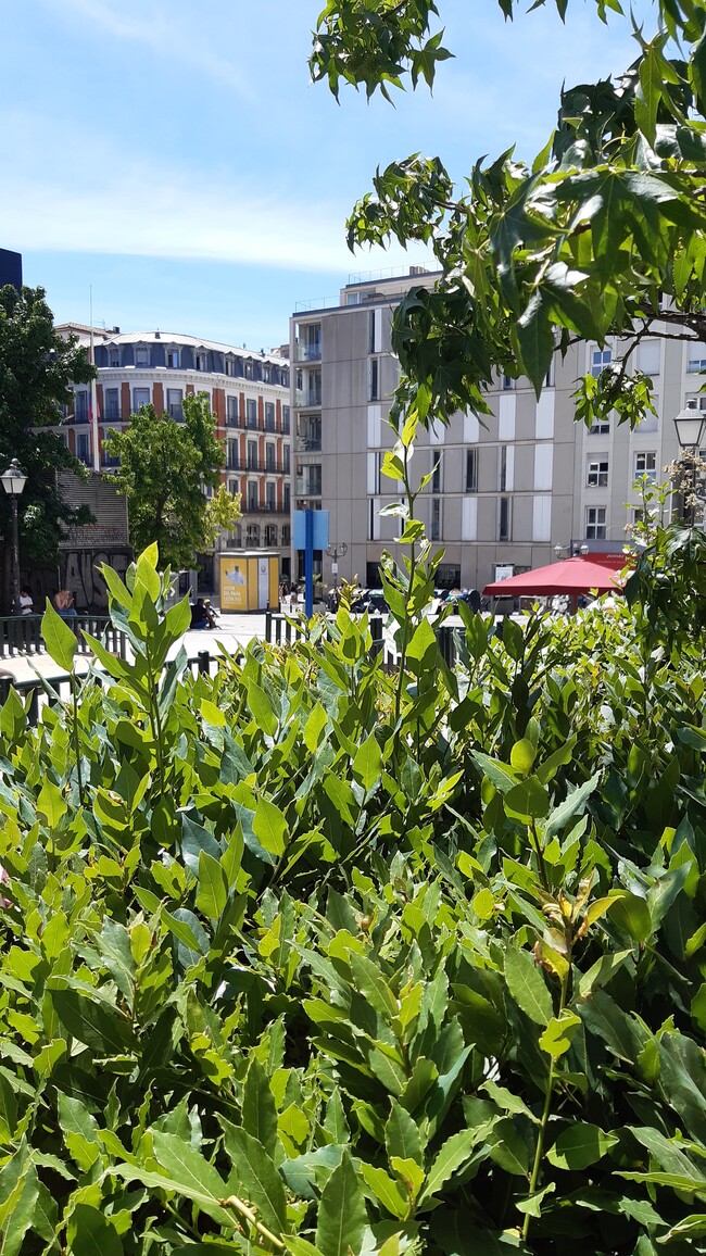 Más detalles de Plaza de Pedro Zerolo, 5, Madrid - Edificio residencial​ en venta