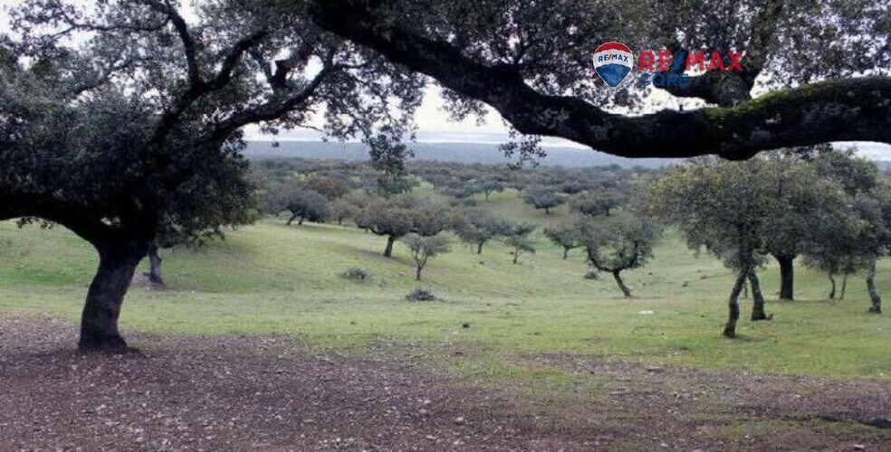 Terreno en Badajoz en venta - Foto del edificio - Imagen 3 de 9