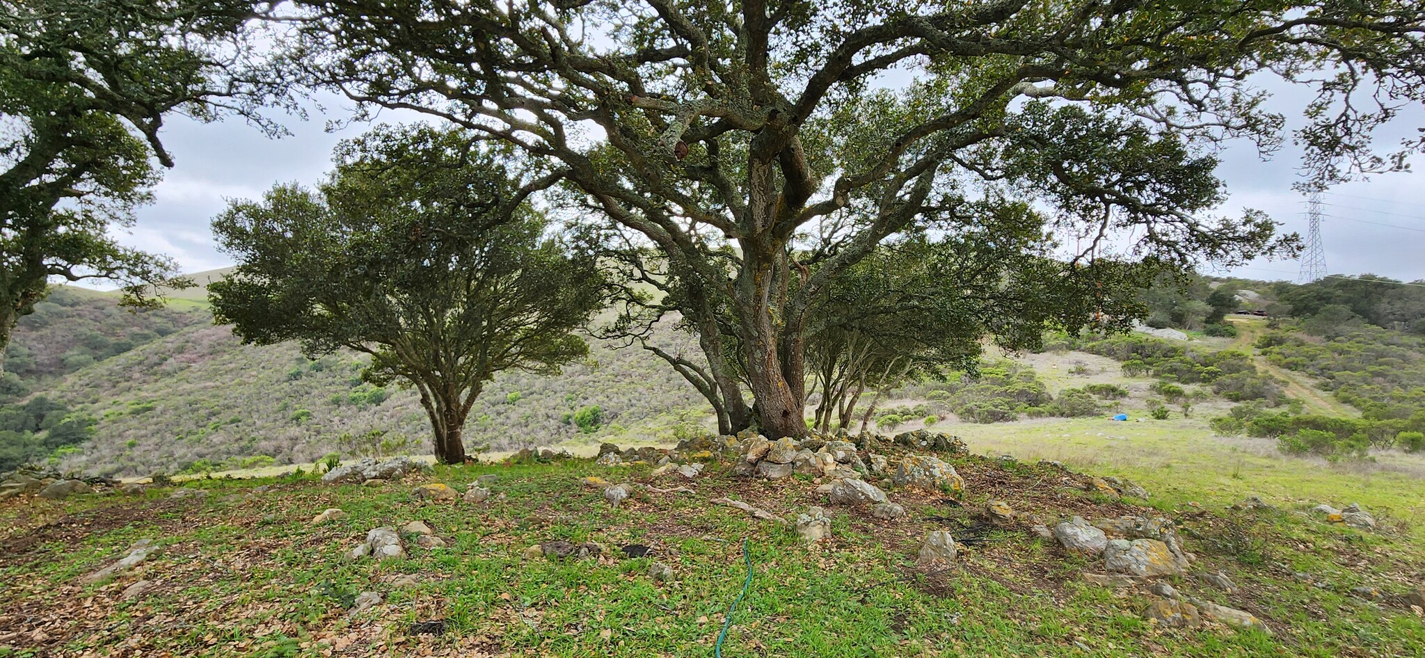 Salinas Road Hwy, San Juan Bautista, CA en venta Foto principal- Imagen 1 de 19