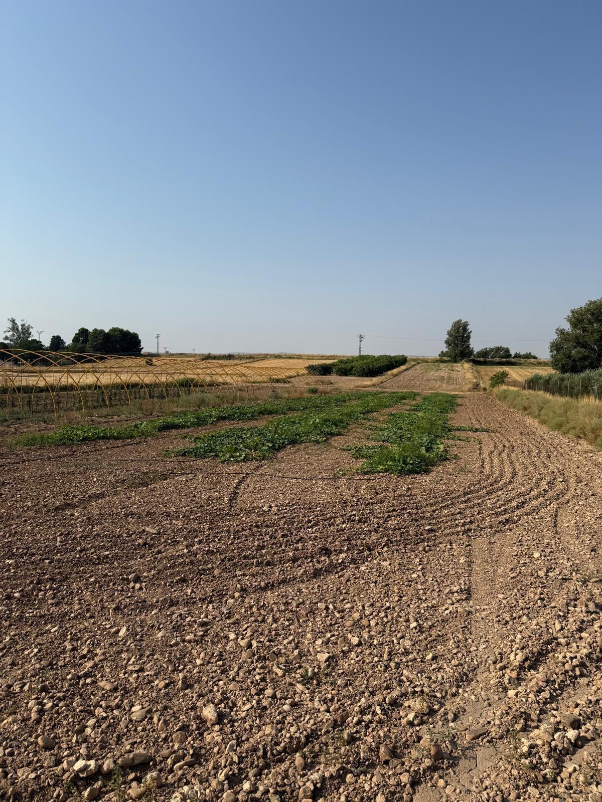 Terreno en Zaragoza, Zaragoza en venta Vista aérea- Imagen 1 de 8