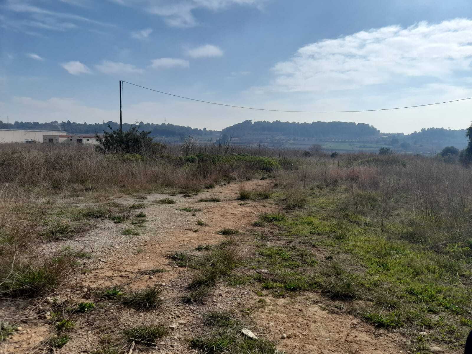 Terreno en Vallmoll, Tarragona en venta Plano de la planta- Imagen 1 de 4