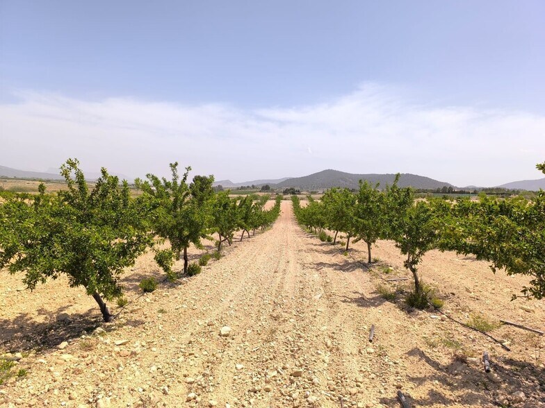 Terreno en Úbeda, Jaén en venta - Foto principal - Imagen 1 de 6