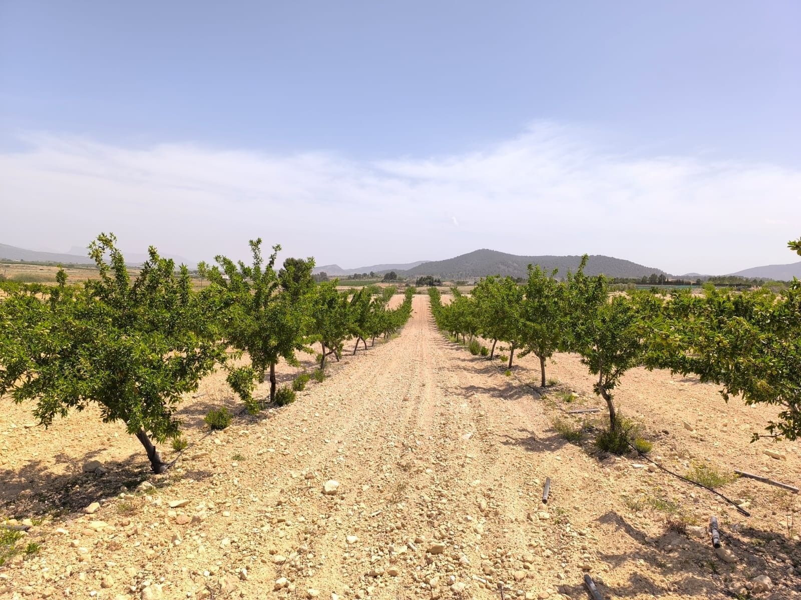 Valenciana, Úbeda, Jaén en venta Vista aérea- Imagen 1 de 7