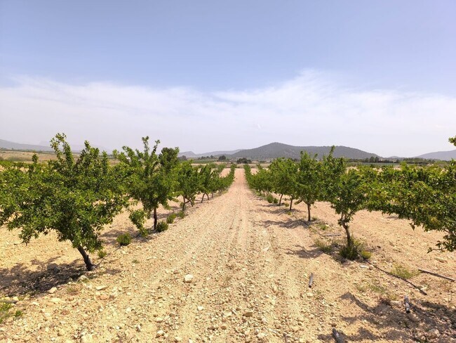 Más detalles de Valenciana, Úbeda - Terreno en venta