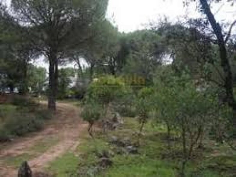 Terreno en Córdoba, Córdoba en venta - Vista aérea - Imagen 3 de 3