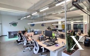 11-17 Buckingham St, Surry Hills en alquiler Foto del interior- Imagen 2 de 5