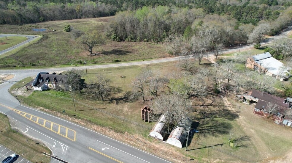 32 GA Highway 137 W, Buena Vista, GA en venta - Vista aérea - Imagen 2 de 56