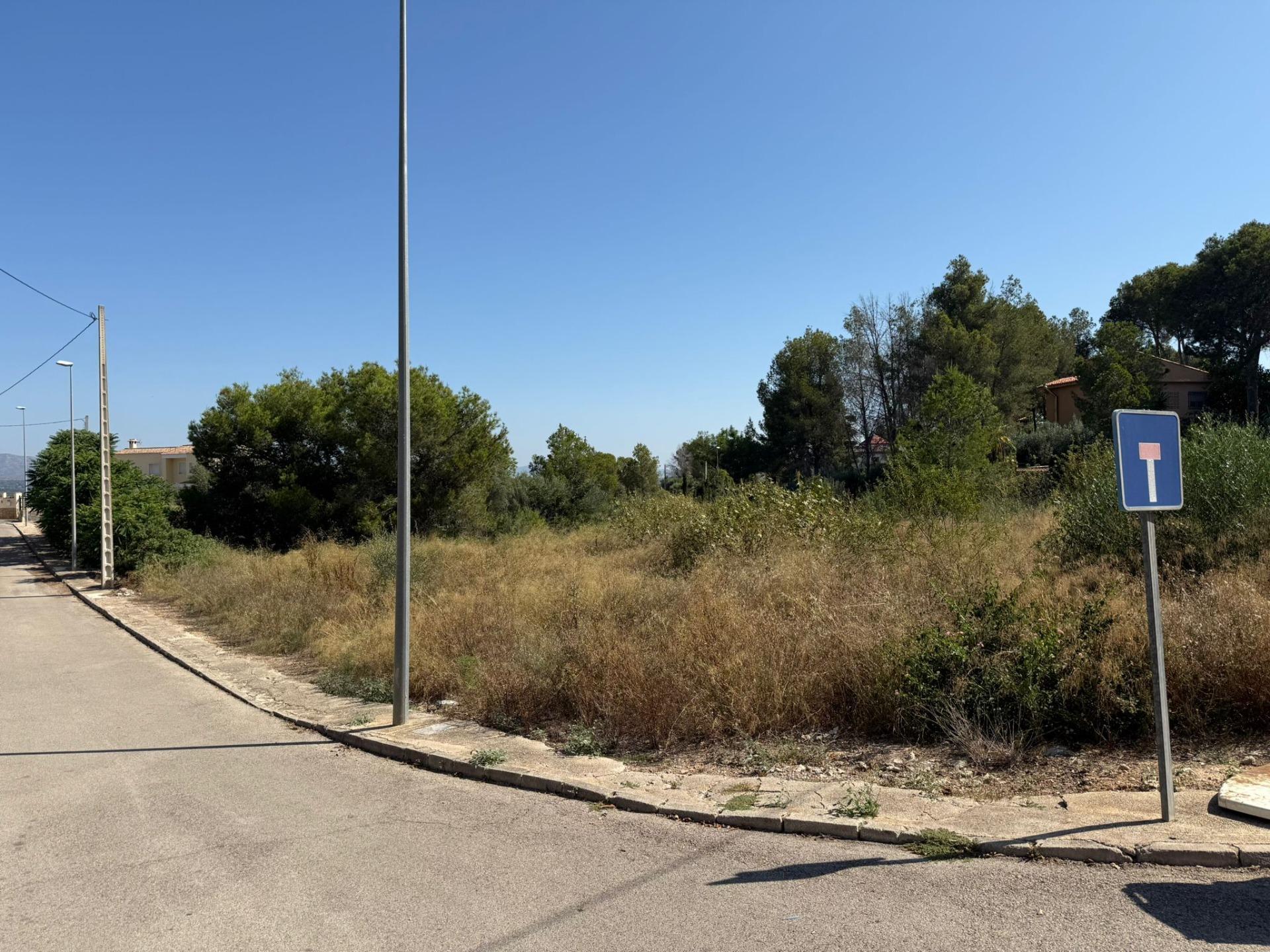 Terreno en Alberic, Valencia en venta Plano del sitio- Imagen 1 de 9