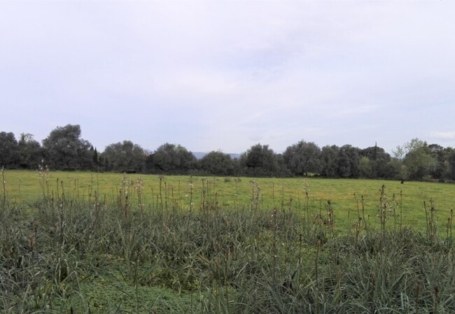 Más detalles de Terreno en venta