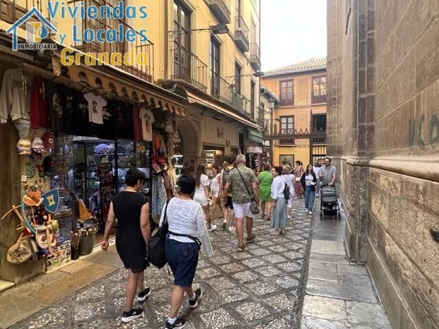 Calle Oficios, 6, Granada, Granada en alquiler - Foto del edificio - Imagen 3 de 17