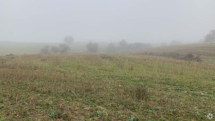 Polígono 12, Villaviciosa de Odón, Madrid en venta - Foto del edificio - Imagen 2 de 14