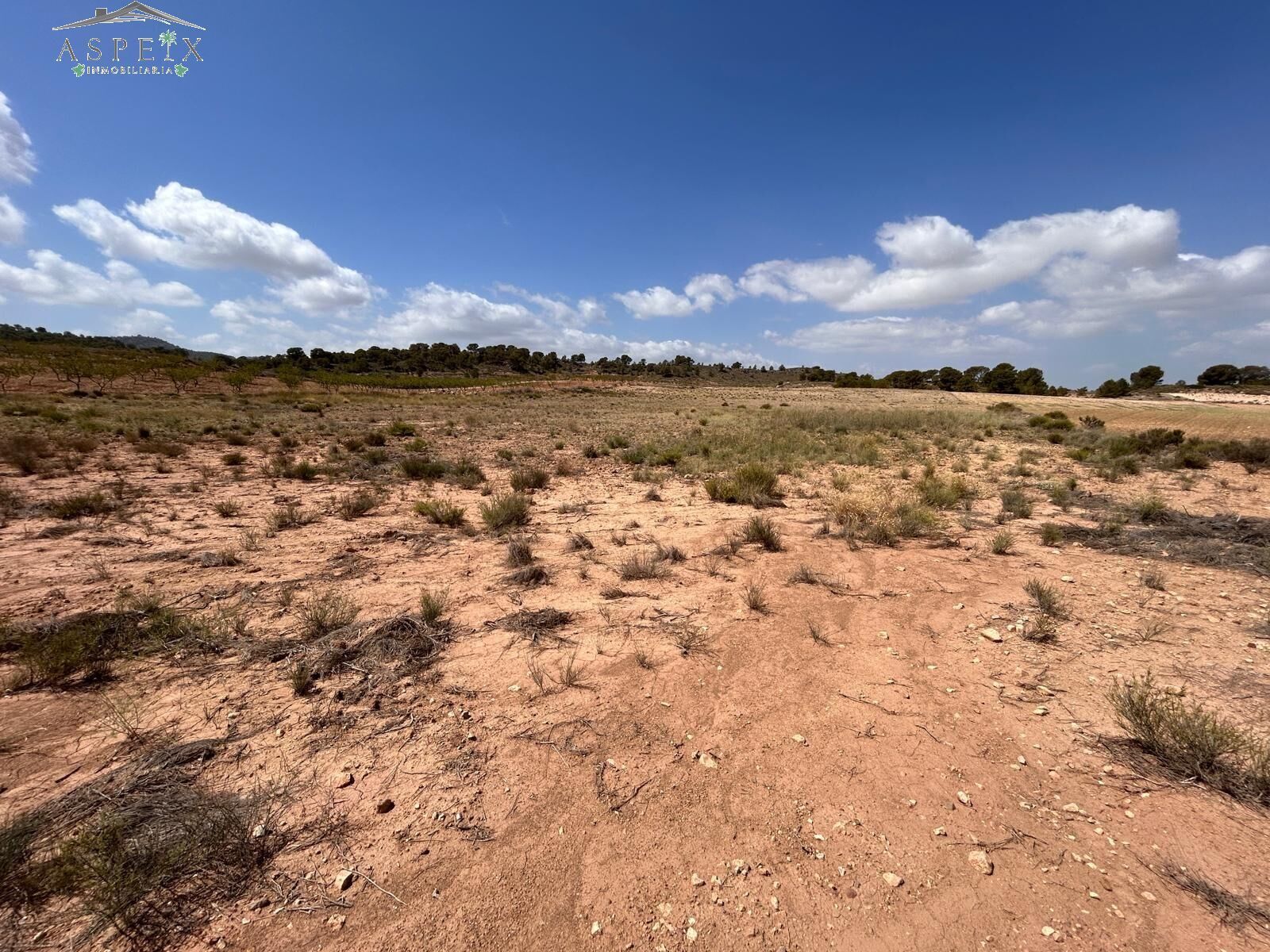 Terreno en Jumilla, Murcia en venta Plano del sitio- Imagen 1 de 6