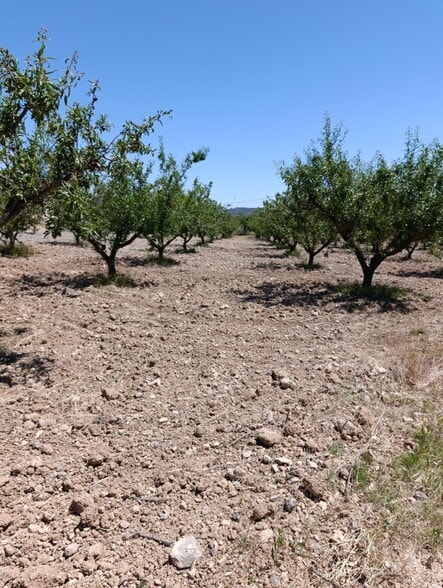 Terreno en Cehegín, Murcia en venta - Foto del edificio - Imagen 3 de 5