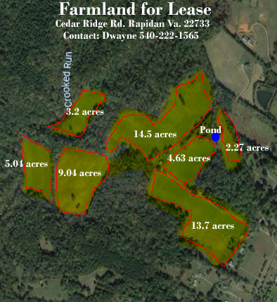 24134 Cedar Ridge Rd, Rapidan, VA en alquiler - Vista aérea - Imagen 1 de 1