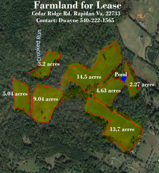 Más detalles para 24134 Cedar Ridge Rd, Rapidan, VA - Terrenos en alquiler