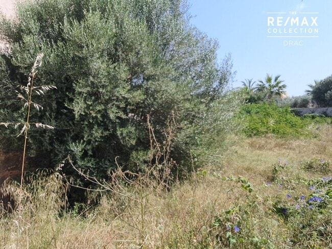 Más detalles de Terreno en venta