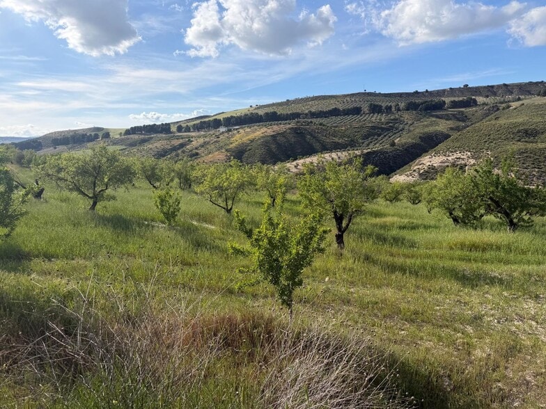 Polígono Ue-5, 7, Arenas del Rey, Granada en venta - Vista aérea - Imagen 3 de 7