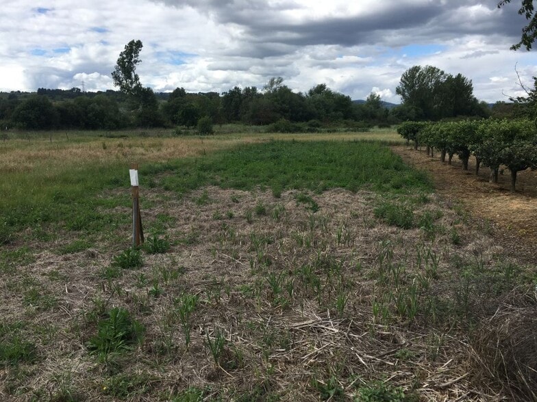 Terreno en Camponaraya, León en venta - Plano del sitio - Imagen 1 de 3