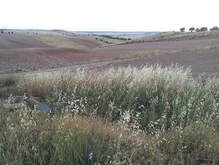 Más detalles de Terreno en venta